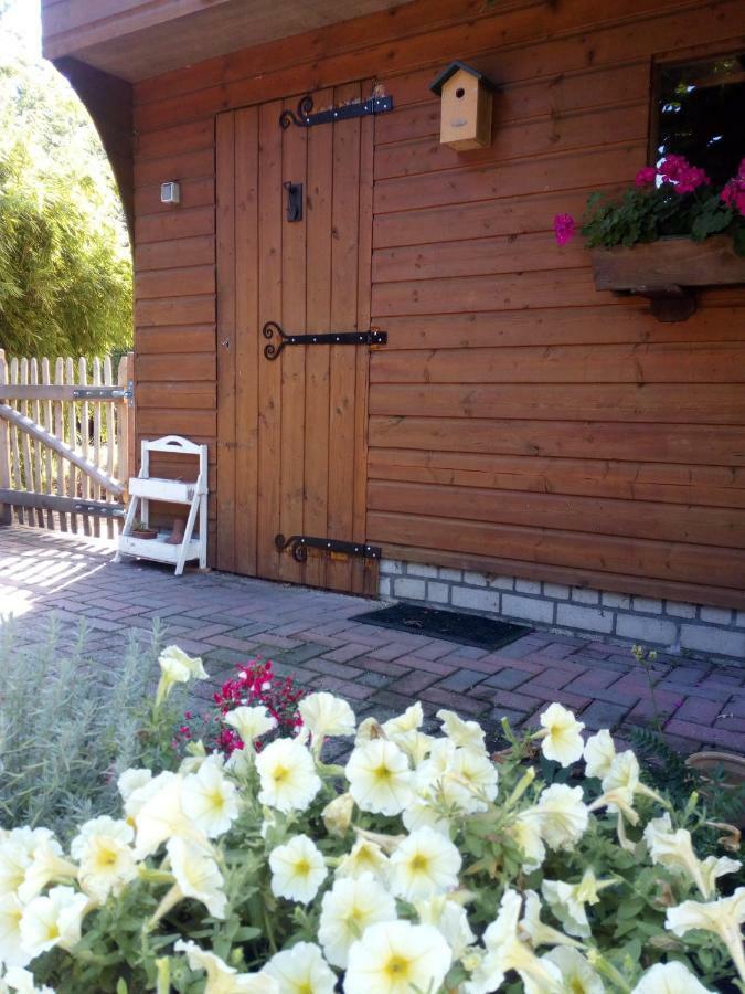 Willa Woodstock B+B Drouwenermond Zewnętrze zdjęcie
