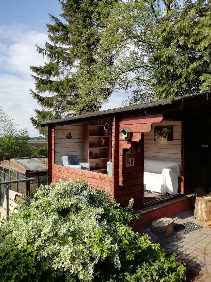 Willa Woodstock B+B Drouwenermond Zewnętrze zdjęcie