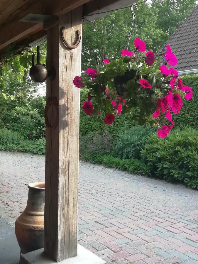Willa Woodstock B+B Drouwenermond Zewnętrze zdjęcie