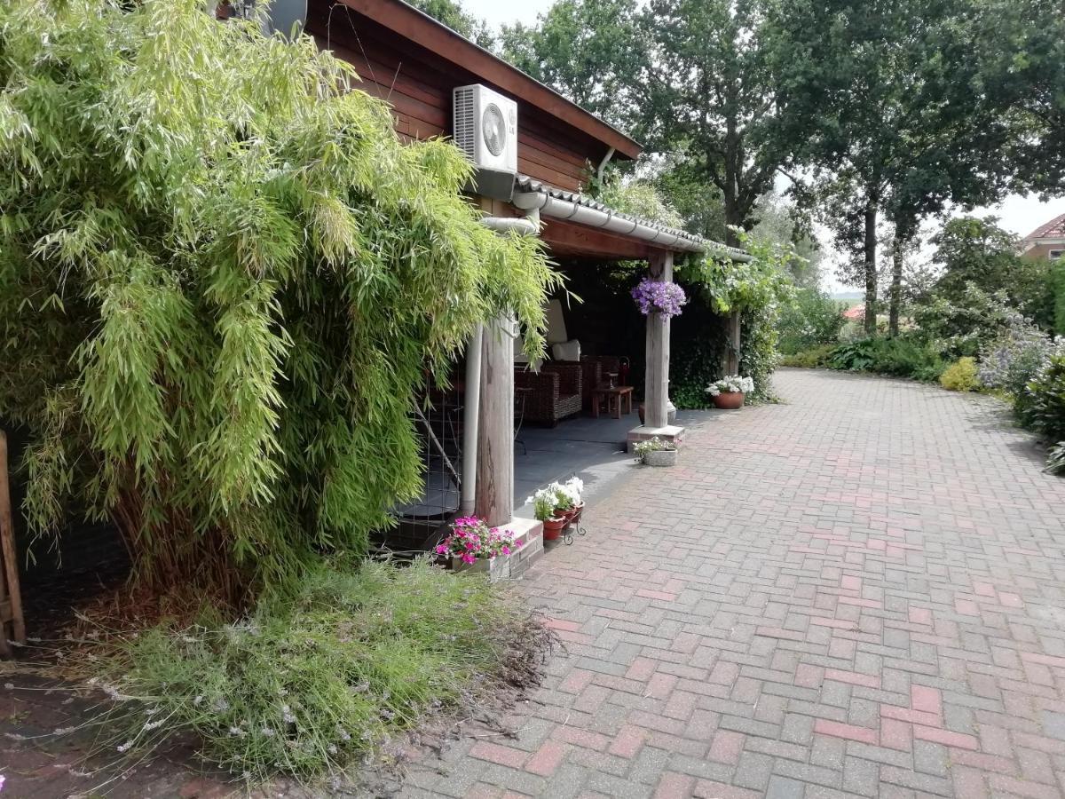 Willa Woodstock B+B Drouwenermond Zewnętrze zdjęcie