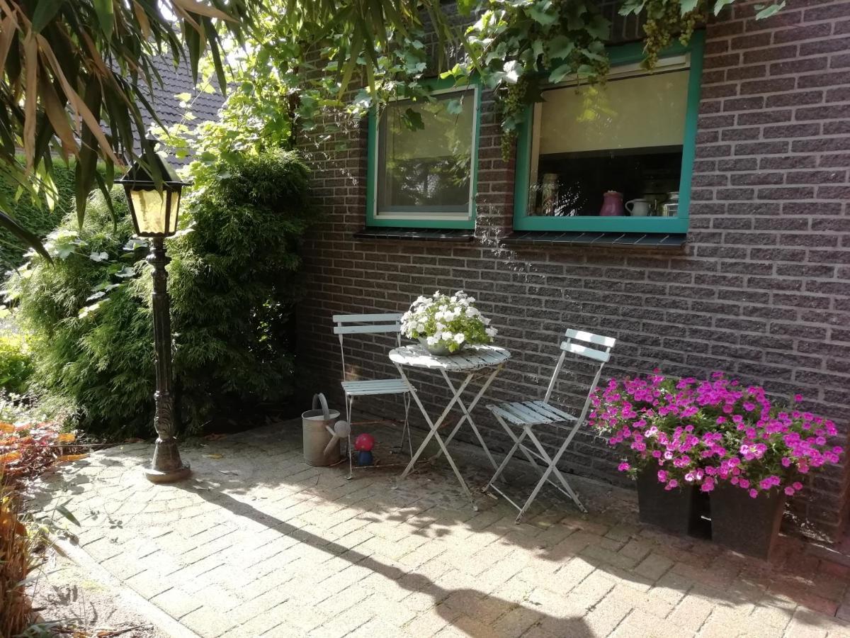 Willa Woodstock B+B Drouwenermond Zewnętrze zdjęcie